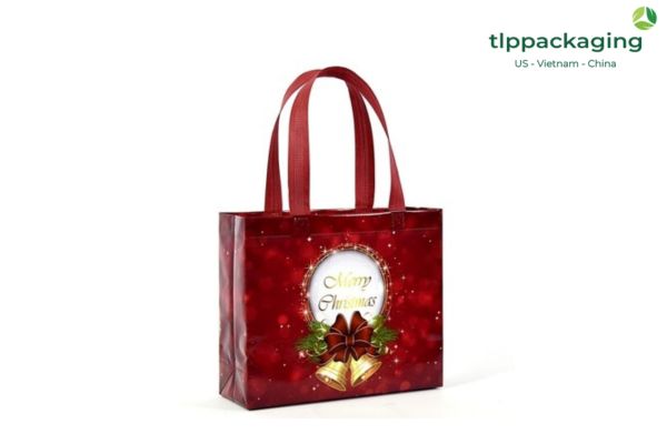 PP Non-Woven shopping bags (9)