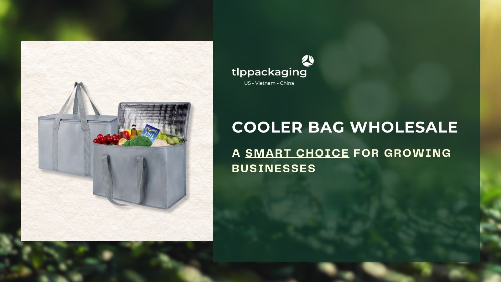 cooler bag wholesale