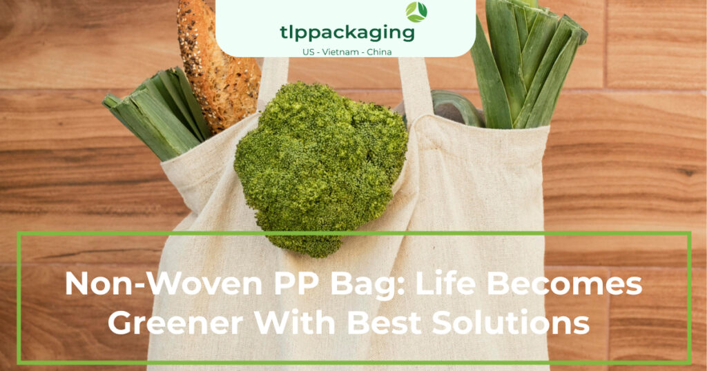 non-woven pp bag