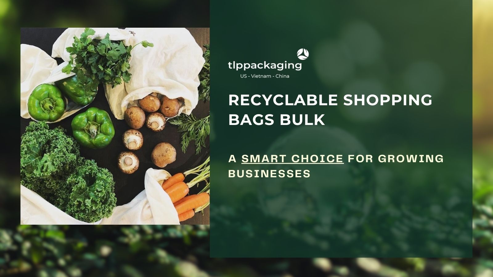 recyclable shopping bags bulk