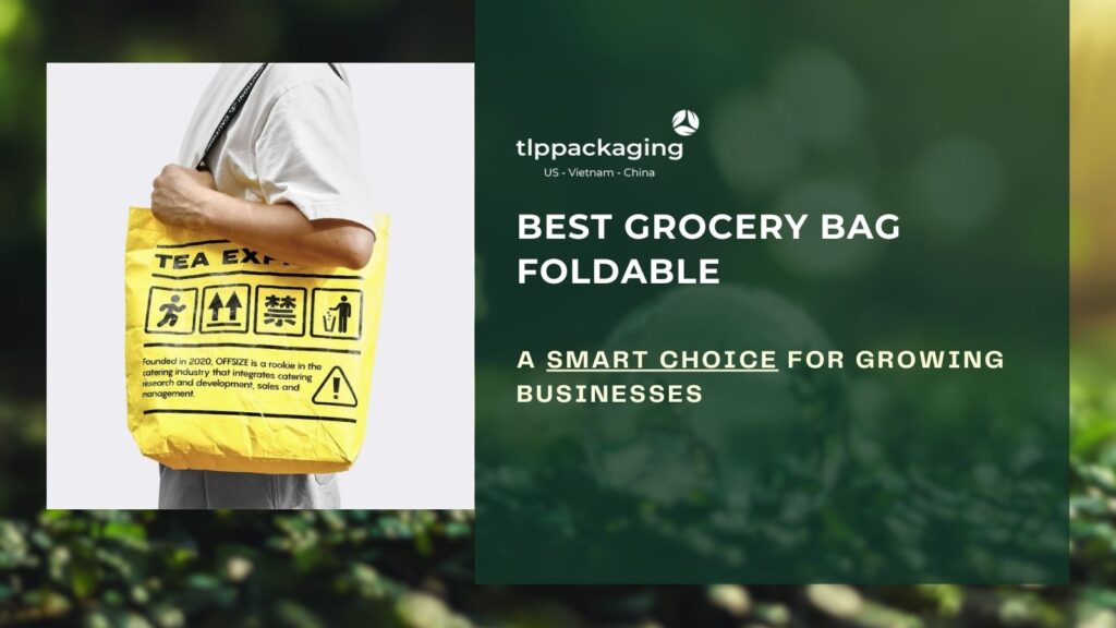 Best grocery bag foldable