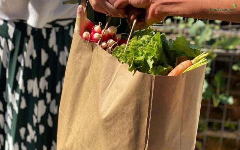 Biodegradable bags for food