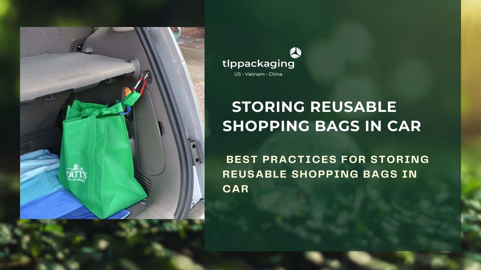 Storing reusable shopping bags in car