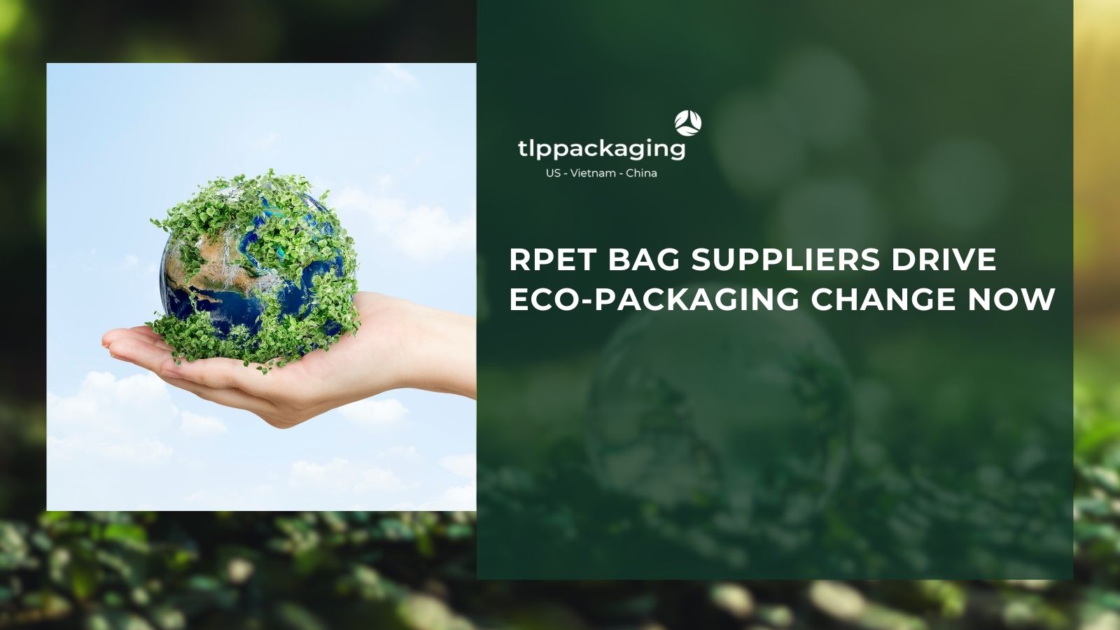 RPET bag Suppliers