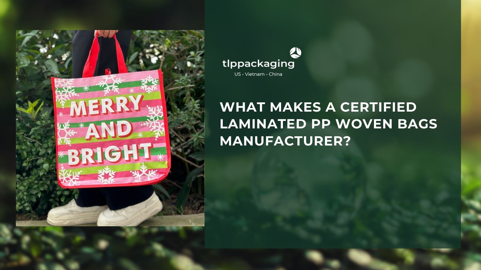 Laminated PP Woven bags Manufacturer